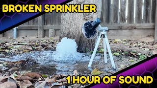 Broken Sprinkler Sounds | 1 hour of relaxing sounds