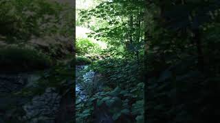 Download Lagu IMG 3781 MP3