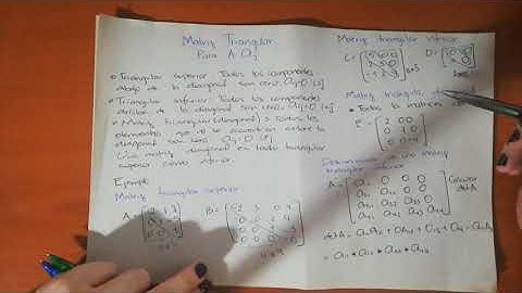 Matrices Triangulares y calculo de determinantes (Parte 18)