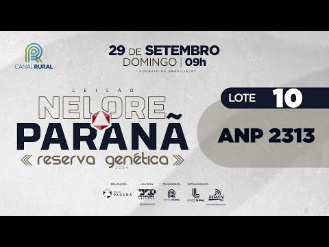 LOTE 10 ANP 2313