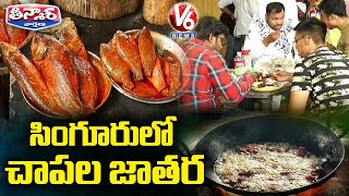 సింగూరులో చాపల జాతర | Fish Festival at Singuru Project | V6 Teenmaar