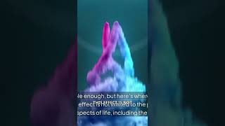 🤯 The Observer Effect: How Your Consciousness Shapes Reality
