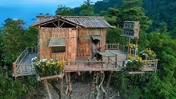 One Leg Guy Vlog. Build a 2 room tree house and a 2 story bird house