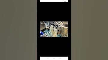 Thumbnail of long grain rice productions #song