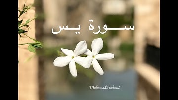 حالات واتس اب قران سورة يس