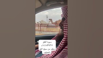 دحيم الحماد ١٤٤٧هـ سورة الفلق منظر من سوق الإبل بالعطيف