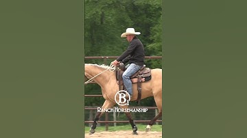 How To Teach a Horse To Work The Flag