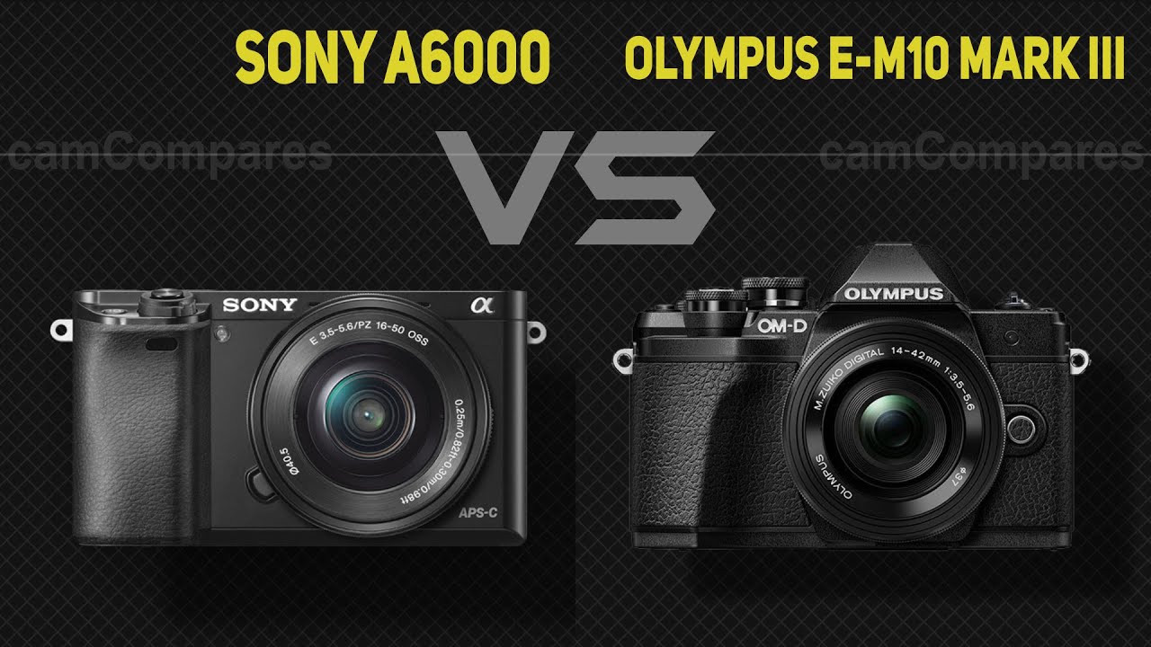 Sony A6000 vs Olympus E-M10 Mark III  [Camera Battle]