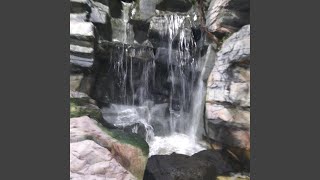 I am calling out in the Wilderness