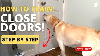 Teach Your Dog To Close The Door in Minutes! (StepByStep)