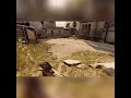 Insurgency Sandstorm fun moment #2