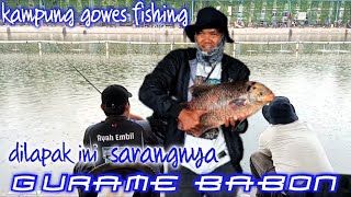 Juara 1 strike gurame babon❗lomba mancing ikan campur