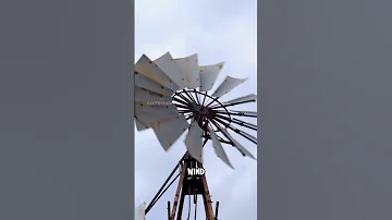 William Kamkwamba The Boy Who Built A Windmill 