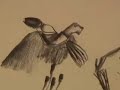 Artist Eugene Martin's Ornithology Lesson, Part 4.