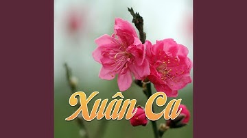 Đám cưới đầu xuân