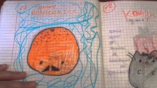 обзор 6 альбомы для рисования ЧАСТЬ 1