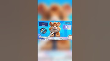 Apple is exploring AI search options in move from Google ⚡️ Hamster News