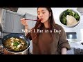 What I Eat in a Day 🇰🇷Easy Korean Recipes