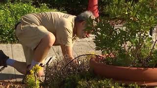 Jonathan Skinner - I am Pinellas County