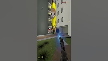 Bannana Cat, Apple Cat and Spiderman Nextbot Gmod