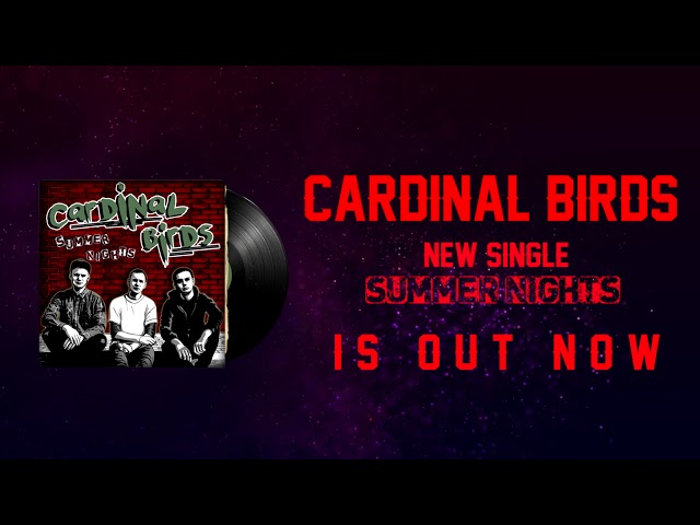 Cardinal Birds - Summer Nights