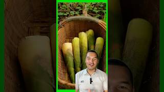Wow bas ko kalila Khana bala vayo #bamboo #farming #food #agriculture