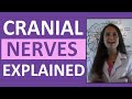 Mastering Cranial Nerves and Their Functions Through Engaging Learning Techniques