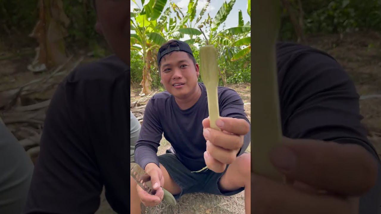 Câu cá không cần mồi #ductrainghiem #phuquocisland #fishing