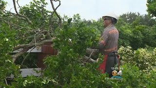 Damage Caused By Tornado In Broward County