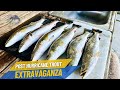Post Hurricane Beryl Speckled Trout Extravaganza - Galveston East Bay