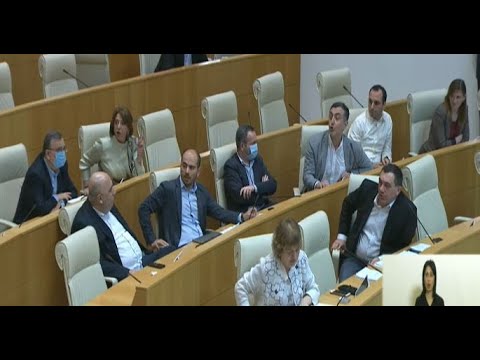 ბოდიშის მოხდას გაიძულებთ, გონებრივ შესაძლებლობებშიც განსხვავებაა ჩვენს შორის - ოპოზიცია გახარიას