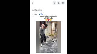 පන බේරගෙන දුවමු බොසා..." 🥰❤😊 #trendingshorts #viralshorts #catshorts
