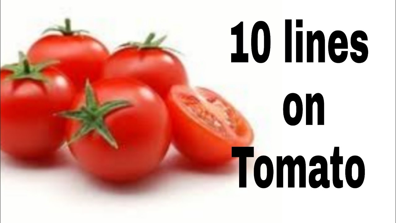 process essay tomato