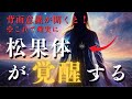 わかった!有料級「背中に意識を置くだけ」で松果体が覚醒する!