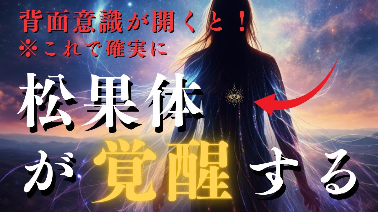 わかった！有料級「背中に意識を置くだけ」で松果体が覚醒する！
