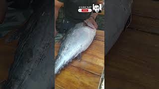 تقطيع سمك التونة #seafood #tuna_fish