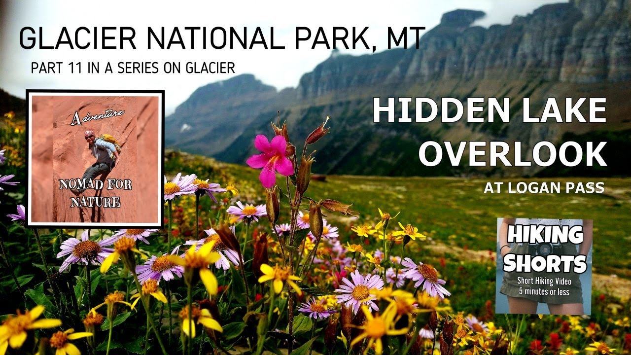 Hike With Me to the Hidden Lake Overlook at Logan Pass / Glacier National Park ~ MT
