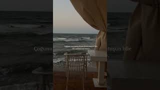 Aslında Başka Şeyler Hayal Etmiştim Ahlat Ağacıfilm