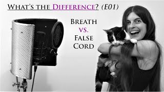 Breath vs False Cord Distortion  what's the difference?