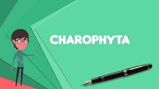 Différence entre chlorophyta et charophyta