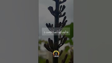 وما أرسلناك إلا رحمة للعالمين | سورة الأنبياء | القارئ رعد الكردي