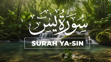 Surah Yasin (Yaseen) سورة يس | Heart touching marvelous beautiful voice | QURAN ZIKR