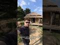 SLEEPING IN THE JUNGLE WITH ELEPHANTS #chiangmai #thailand #travel #vlog #trending #fyp #elephant