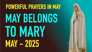 Marian Prayers and Devotion | Honoring Mary Throughout May!