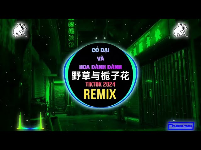 林三七 - 野草与栀子花 (DJEva版) Cỏ Dại Và Hoa Dành Dành (Remix Tiktok) - Lâm Tam Thất || Hot Tiktok Douyin class=