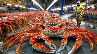 This is Why King Crab is So Expensive - Modern Fishing Processing