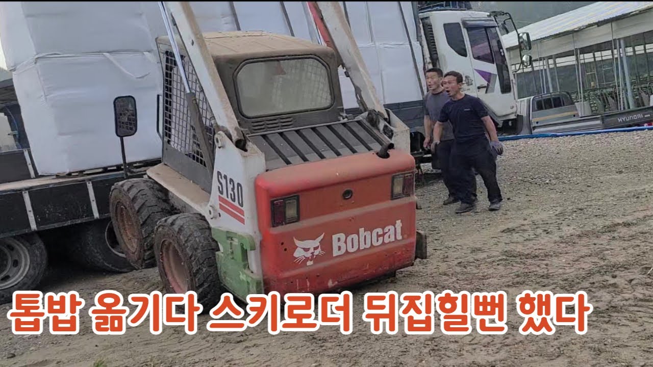 50대 소린이의 농장일기  #93  톱밥 옮기는 날. 스키로더 뒤집힐뻔 . .