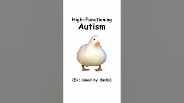 High functioning autism (explained by ducks)