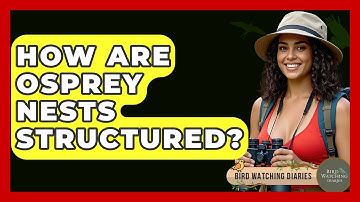 How Are Osprey Nests Structured? - Bird Watching Diaries