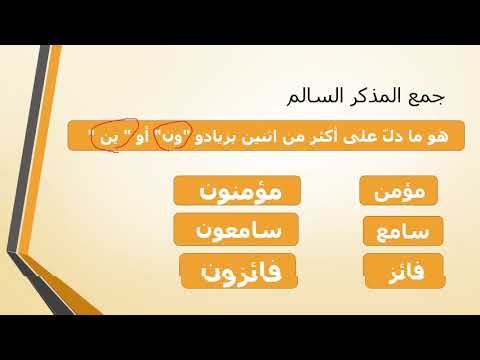 مفرد مثنى جمع 7